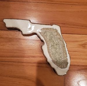 Florida geode coaster